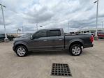 2019 Ford F-150 SuperCrew Cab 4WD Pickup for sale #TB82967A - photo 6
