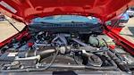 2025 Ford F-250 Crew Cab 4WD Pickup for sale #TEC34634 - photo 33