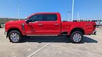 2025 Ford F-250 Crew Cab 4WD Pickup for sale #TEC34634 - photo 6
