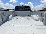 2025 Ford F-450 Crew Cab DRW 4WD Pickup for sale #TEC35288 - photo 29
