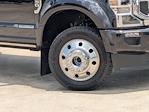 2022 Ford F-450 Crew Cab DRW 4WD Pickup for sale #TED31864 - photo 10
