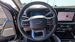 2025 Ford F-450 Crew Cab DRW 4WD Pickup for sale #TED39998 - photo 15