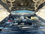 2022 Ford F-350 Crew Cab SRW 4WD Pickup for sale #TED66797 - photo 33