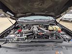 2024 Ford F-250 Crew Cab 4WD Pickup for sale #TED71620 - photo 32