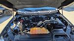 2018 Ford F-150 SuperCrew Cab 4WD Pickup for sale #TFA44027 - photo 32