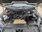 2021 Ford F-150 SuperCrew Cab 4WD Pickup for sale #TFA56735 - photo 28