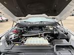 2021 Ford F-150 SuperCrew Cab 4WD Pickup for sale #MFA59084T - photo 32