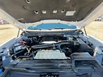 2022 Ford F-150 SuperCrew Cab 4WD Pickup for sale #TFA85616 - photo 31