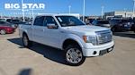2009 Ford F-150 SuperCrew Cab 4WD Pickup for sale #TFA98635 - photo 31