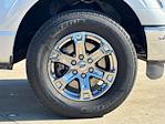 2023 Ford F-150 SuperCrew Cab 4WD Pickup for sale #TFB82555 - photo 10