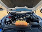 2023 Ford F-150 SuperCrew Cab 4WD Pickup for sale #TFB82555 - photo 31