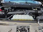 2024 Ford F-150 SuperCrew Cab 4WD Pickup for sale #TFB85426 - photo 32