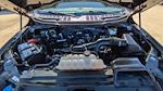 2024 Ford F-150 SuperCrew Cab RWD Pickup for sale #TKD59817 - photo 31