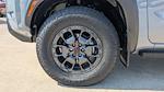 2023 Nissan Frontier Crew Cab 4WD Pickup for sale #TN661781 - photo 10