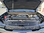 2025 Chevrolet Colorado Crew Cab 4WD Pickup for sale #22969A - photo 28