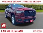 New 2025 Ram 1500 Lone Star Crew Cab 4x4 Pickup for sale #D14449 - photo 1