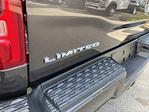 New 2023 Ram 2500 Limited Crew Cab 4x4 Pickup for sale #U3T615114 - photo 18