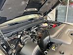 New 2023 Ram 2500 Limited Mega Cab for sale #U3T650602 - photo 13