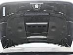 New 2024 Ram 2500 Limited Crew Cab 4x4 Pickup for sale #B2423440 - photo 24