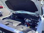 New 2024 Ram 2500 Tradesman Regular Cab Pickup for sale #D5412 - photo 32