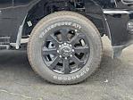 New 2025 Ram 2500 Laramie Mega Cab 4x4 Pickup for sale #R257084 - photo 25