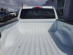 New 2026 Ram 1500 Lone Star Crew Cab for sale #3251674T - photo 8