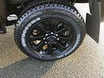 New 2026 Ram 2500 Big Horn Crew Cab for sale #26068 - photo 10