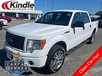 2014 Ford F-150 SuperCrew Cab 4x4 Pickup for sale #20725Q - photo 1