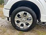 2023 Ford F-150 SuperCrew Cab 4x4 Pickup for sale #582795A - photo 10