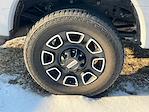 2024 Ford F-350 Crew Cab SRW 4WD Pickup for sale #76011A - photo 6