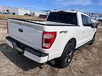 2023 Ford F-150 SuperCrew Cab 4WD Pickup for sale #88053A - photo 10
