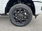 New 2025 Ram 2500 Lone Star Crew Cab 4x4 Pickup for sale #SG543056 - photo 46