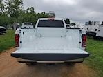 2025 Ram 2500 Crew Cab 4x4 Pickup for sale #R25671 - photo 10