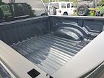 2025 Ram 1500 Crew Cab 4x4 Pickup for sale #R25680 - photo 11
