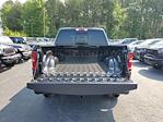 2025 Ram 1500 Crew Cab 4x4 Pickup for sale #R25717 - photo 9