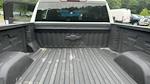 2024 Chevrolet Silverado 1500 Crew Cab 4WD Pickup for sale #M15292 - photo 10