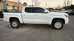 2024 Toyota Tacoma Double Cab RWD Pickup for sale #TDJ15804A - photo 5