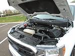2022 Ford F-150 SuperCrew Cab 4x4 Pickup for sale #JSU3244 - photo 19