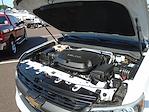 2019 Chevrolet Colorado Crew Cab 4x4 Pickup for sale #JSU3400 - photo 18
