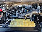 2019 Ford F-150 SuperCrew Cab 4x2 Pickup for sale #KKD90389 - photo 18