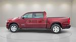 New 2025 Ram 1500 Lone Star Crew Cab 4x4 Pickup for sale #SN699751 - photo 4