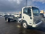 2023 Chevrolet LCF 4500 Regular Cab RWD Cab Chassis for sale #25POF2696 - photo 2