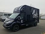 2024 Ram ProMaster 3500 FWD, THEAULT M-TYPE Premium Horse Van (Stock #RE147716) for sale #RE147716 - photo 15