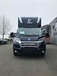 2024 Ram ProMaster 3500 FWD, THEAULT M-TYPE Premium Horse Van (Stock #RE147716) for sale #RE147716 - photo 19