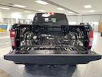 New 2024 Ram 3500 Big Horn Crew Cab 4x4 Pickup for sale #F612804N - photo 13