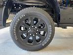 New 2024 Ram 2500 Big Horn Crew Cab 4x4 Pickup for sale #RG393200M - photo 34