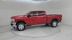 New 2024 Ram 2500 Tradesman Crew Cab 4x4 Pickup for sale #1356876 - photo 8