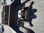 2021 Ram 3500 Crew Cab DRW 4WD Pickup for sale #P10961 - photo 12