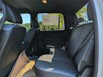New 2025 Ram 5500 Tradesman Crew Cab 4x4 84 CA Cab Chassis for sale #25CT347 - photo 13