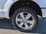 Used 2019 Ford F-150 Platinum SuperCrew Cab for sale #P7739 - photo 10